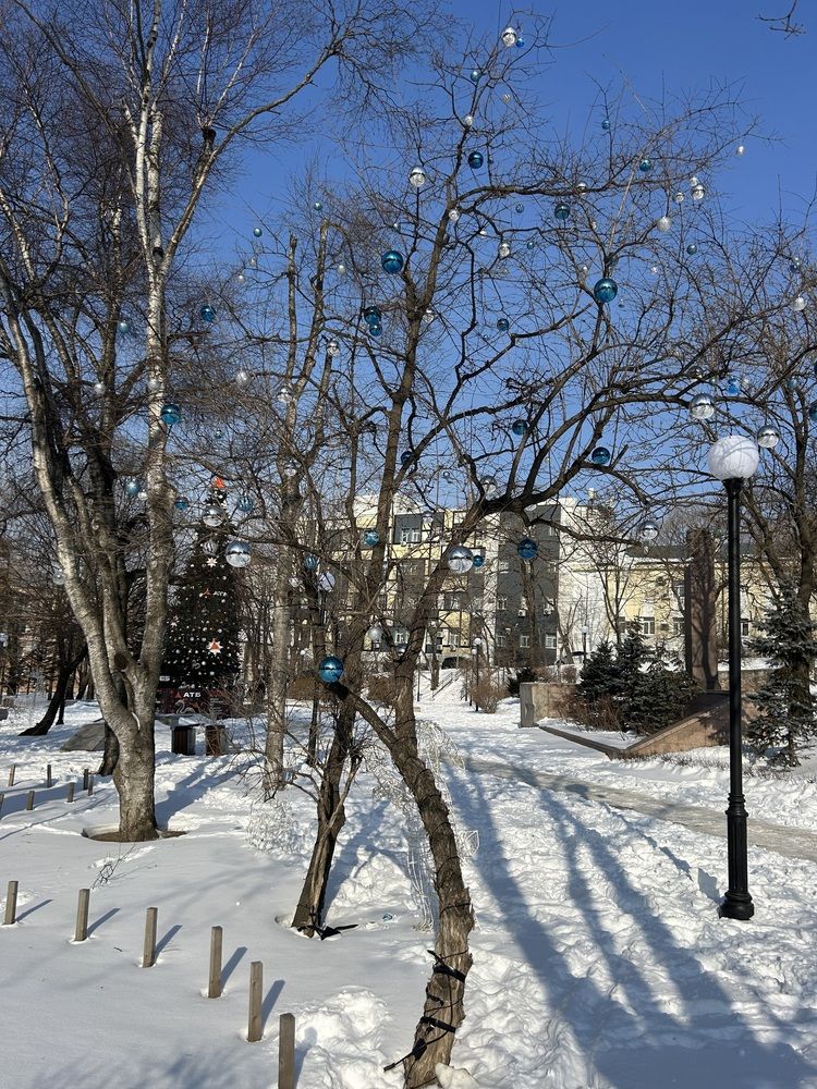 Photograph by Елена Власова