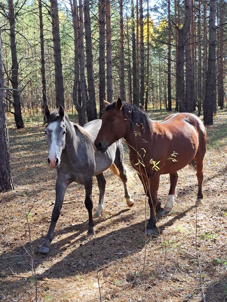 Photograph by Любовь Войтишина
