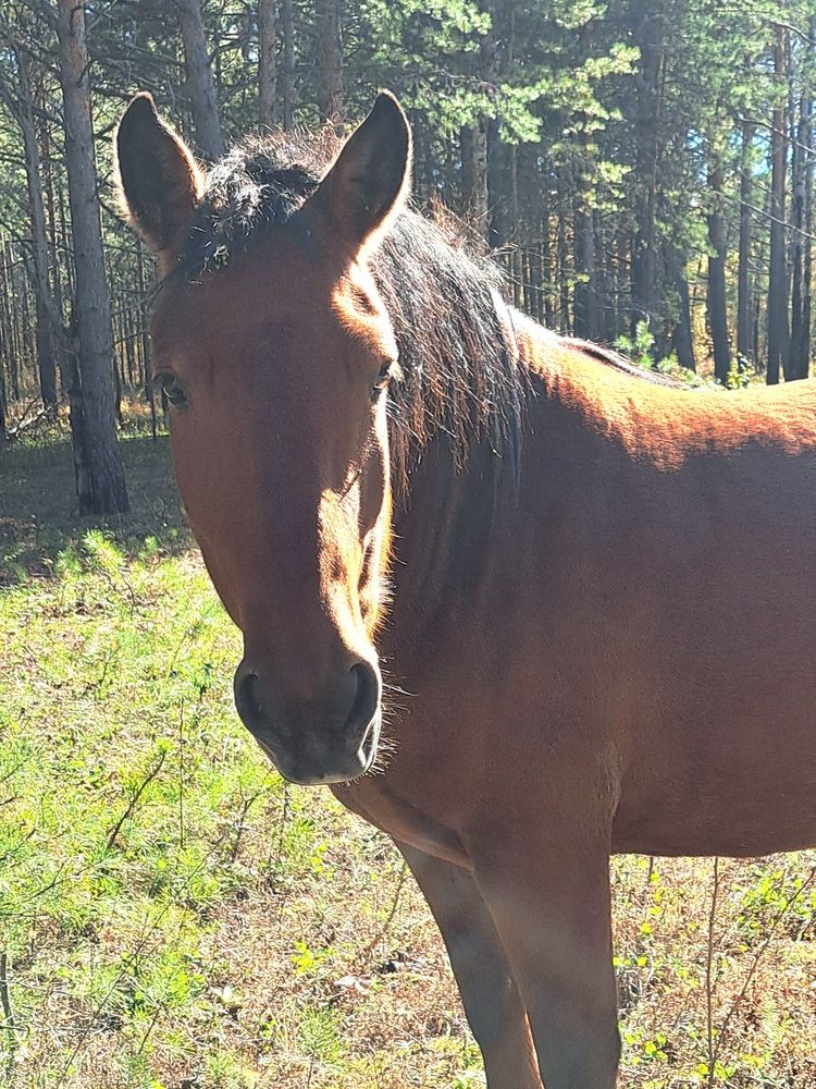 Photograph by Любовь Войтишина