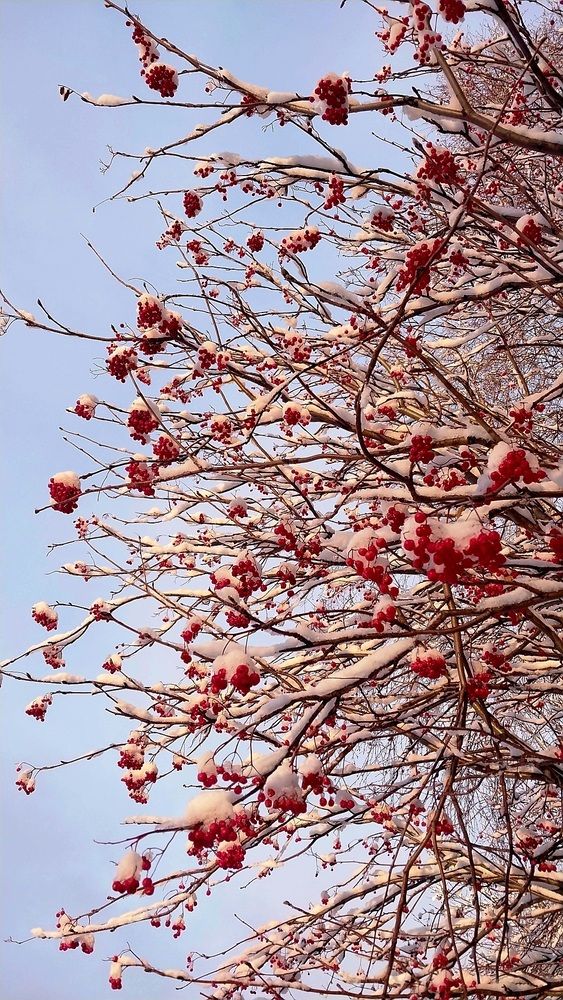 Photograph by Юлия Иванова