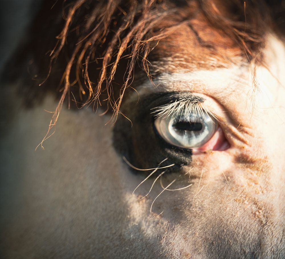 Photograph by Елена Март