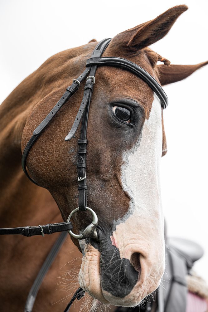 Photograph by Елена Март