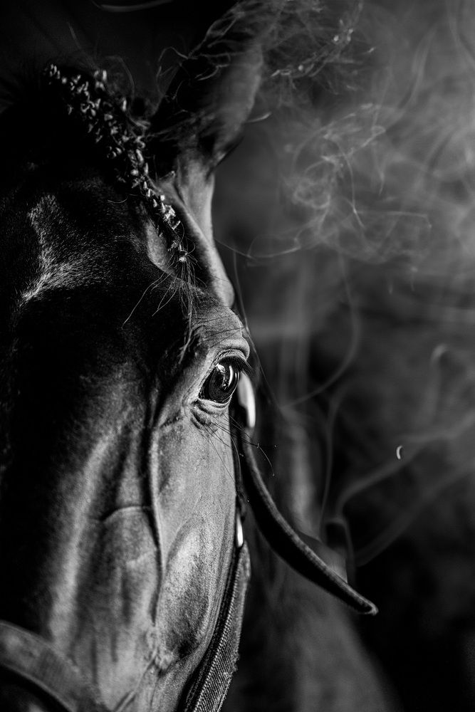 Photograph by Елена Март