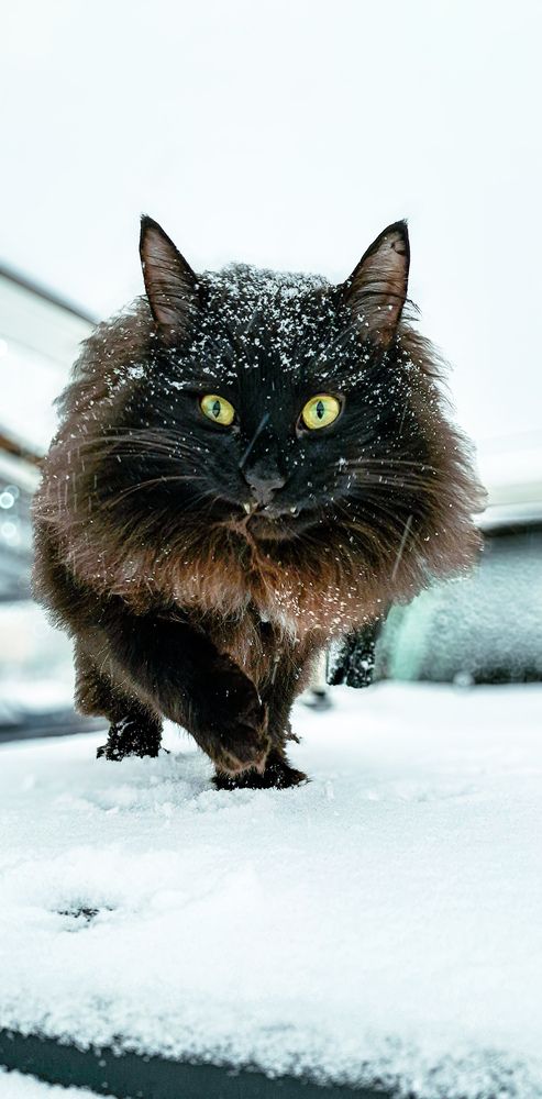 Photograph by Галина Перепечаева