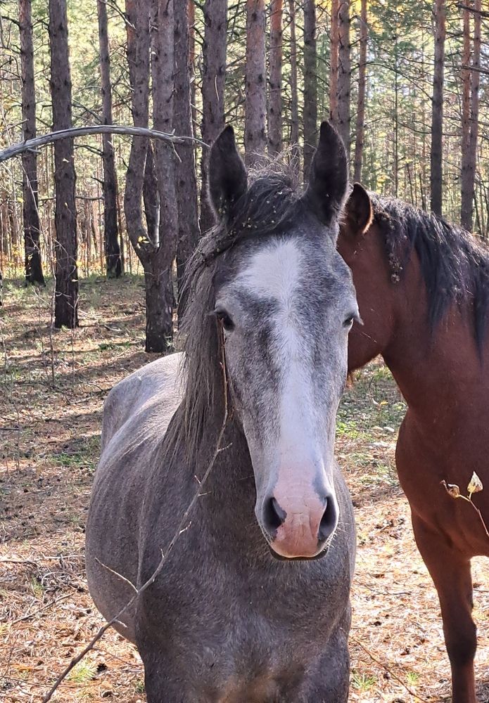 Photograph by Любовь Войтишина