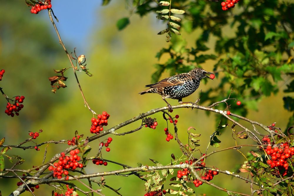 Photograph by Pavel Cherkas