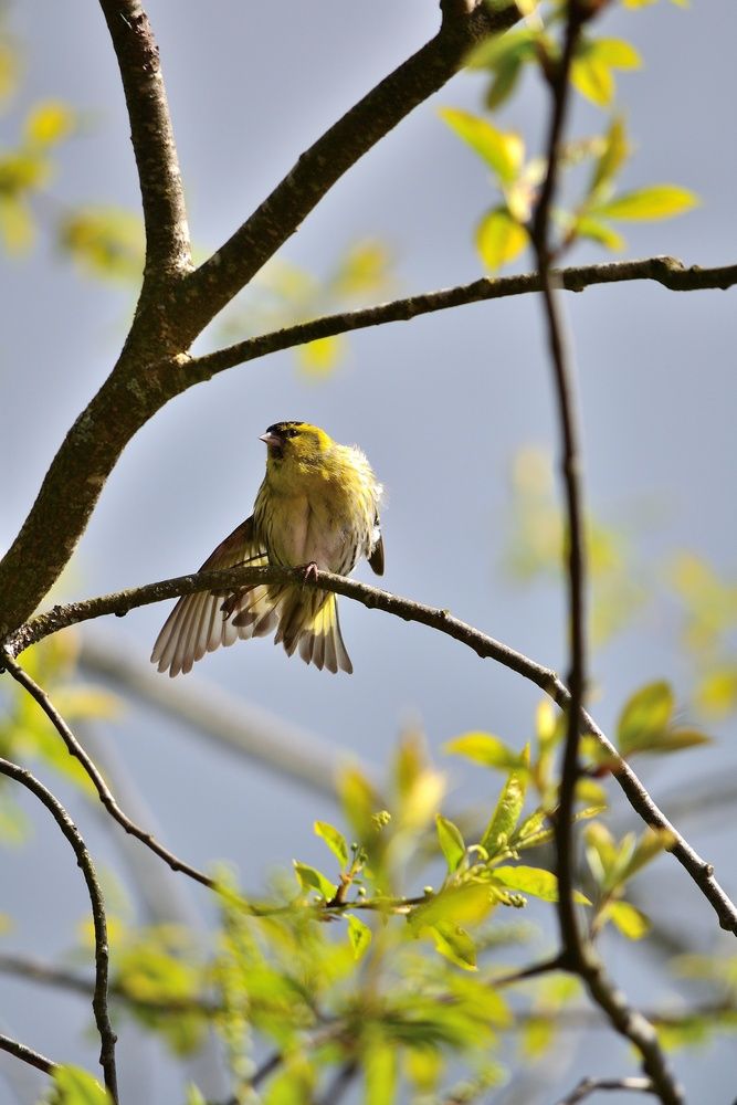 Photograph by Pavel Cherkas