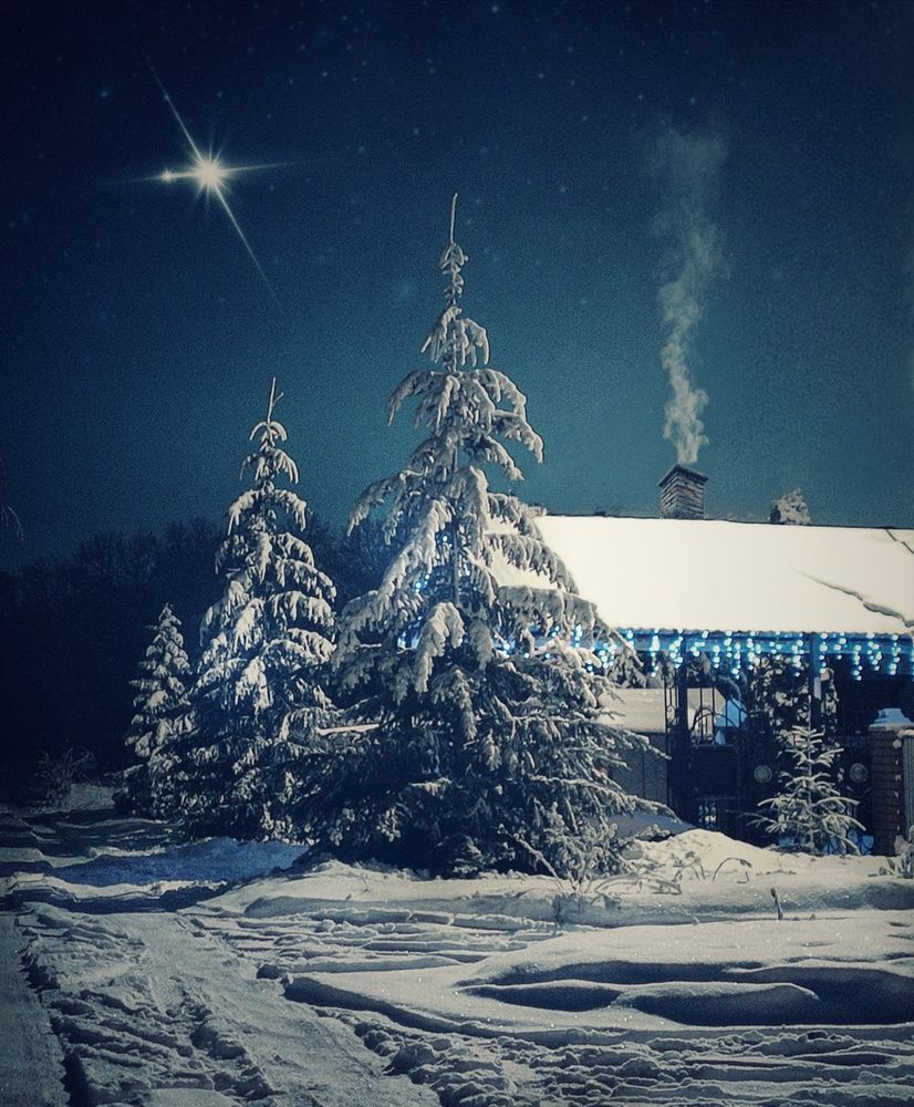 Фотография автора Хоменчук Людмила