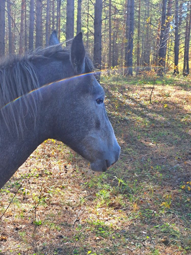 Photograph by Любовь Войтишина