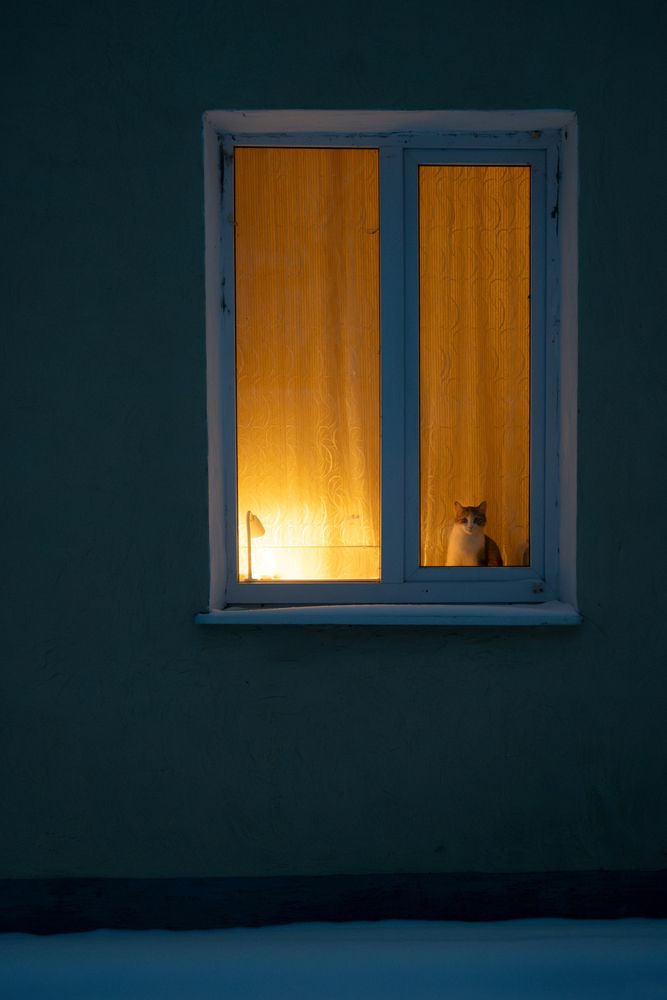 Photograph by Tatiana Shtun