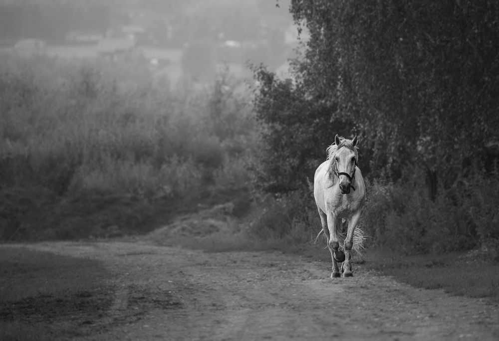 Photograph by Елена Март