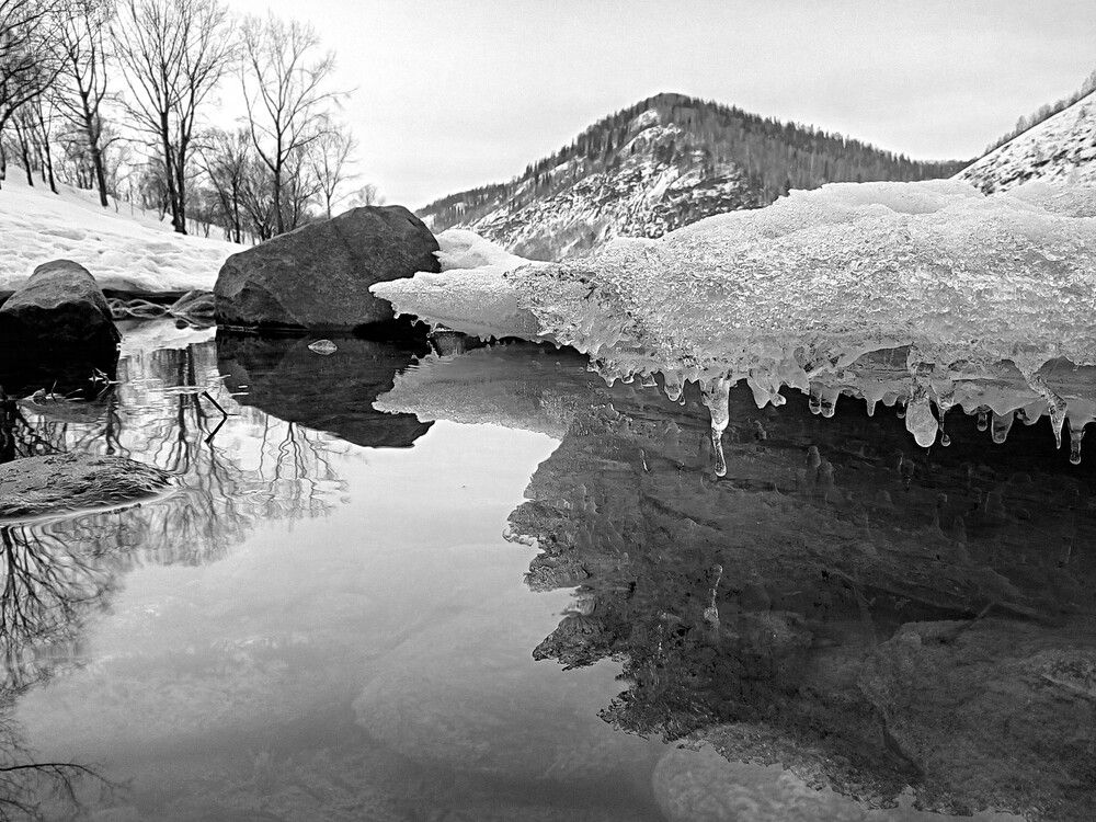 Photograph by Александр Прядко