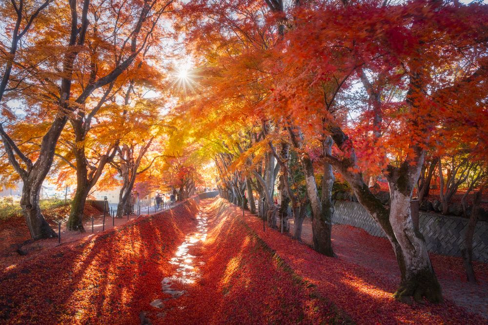 Photograph by Антон Агарков