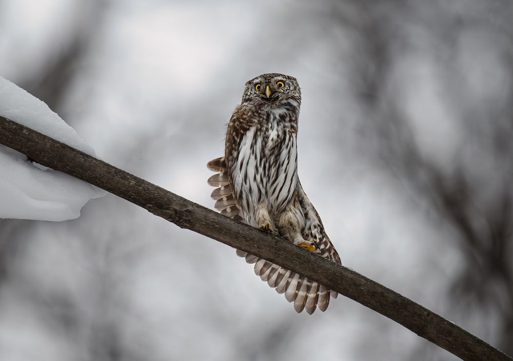 Photograph by Ирешева Мария