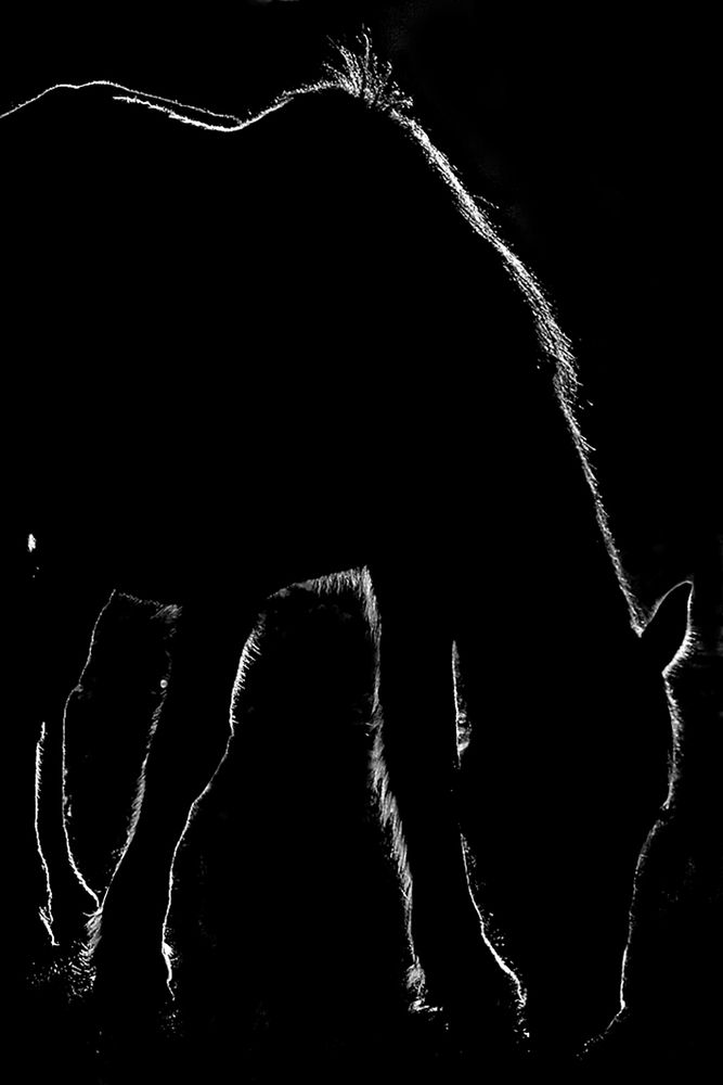 Фотография автора Варвара Штерн