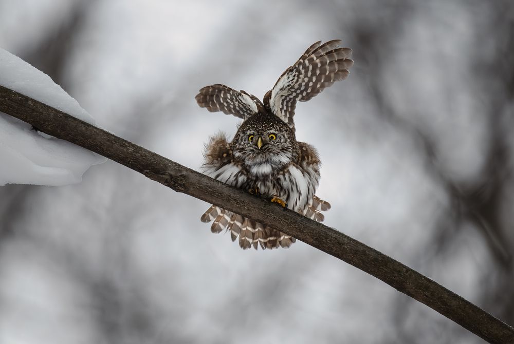 Photograph by Ирешева Мария