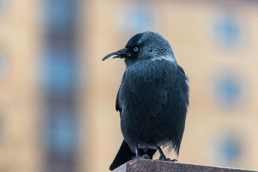 Photograph by Анатолий Чесноков