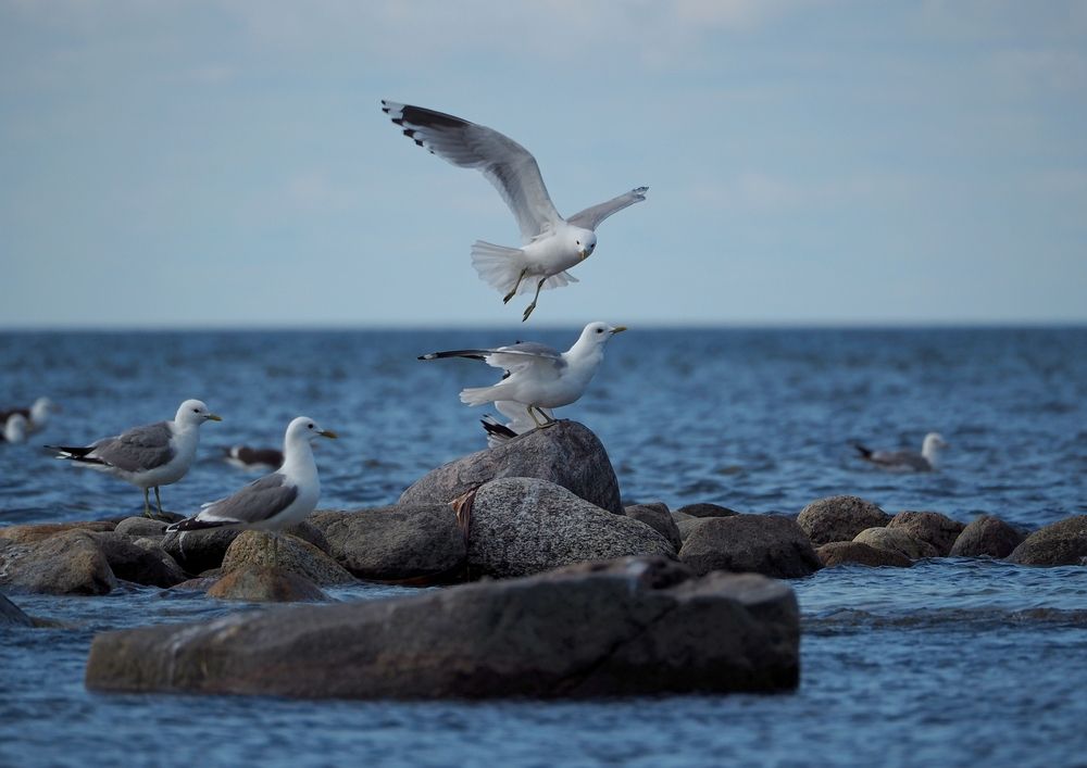 Photograph by Яковлев Евгений