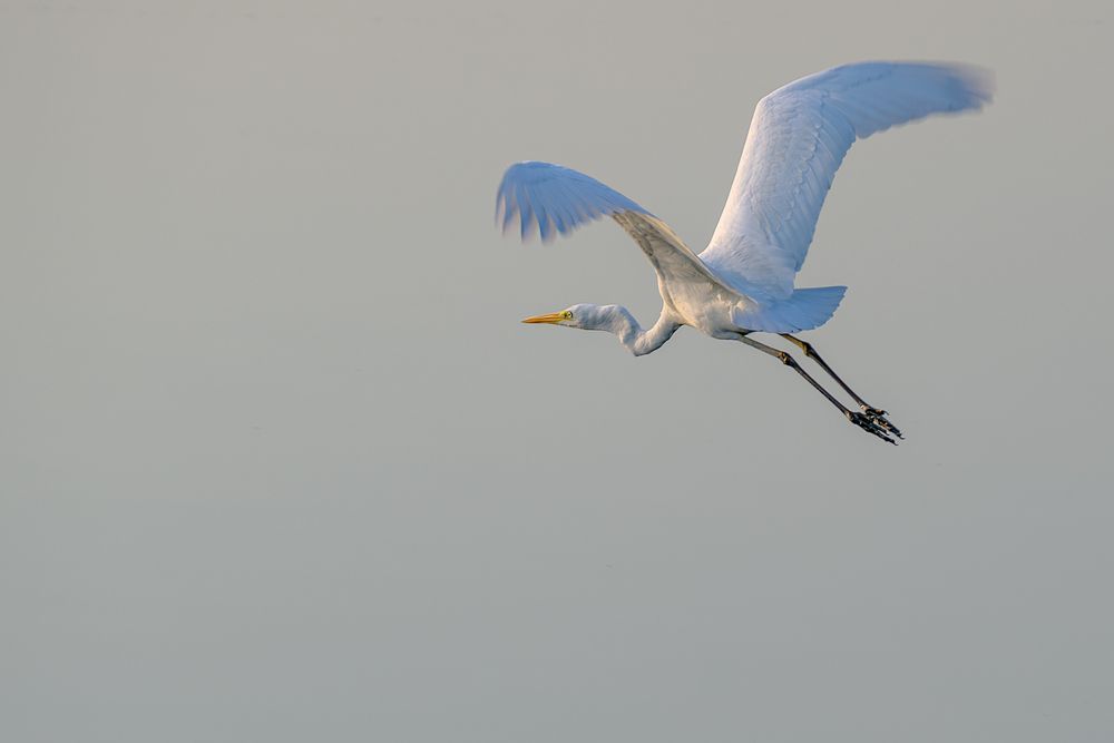 Photograph by Демьян Лопатов