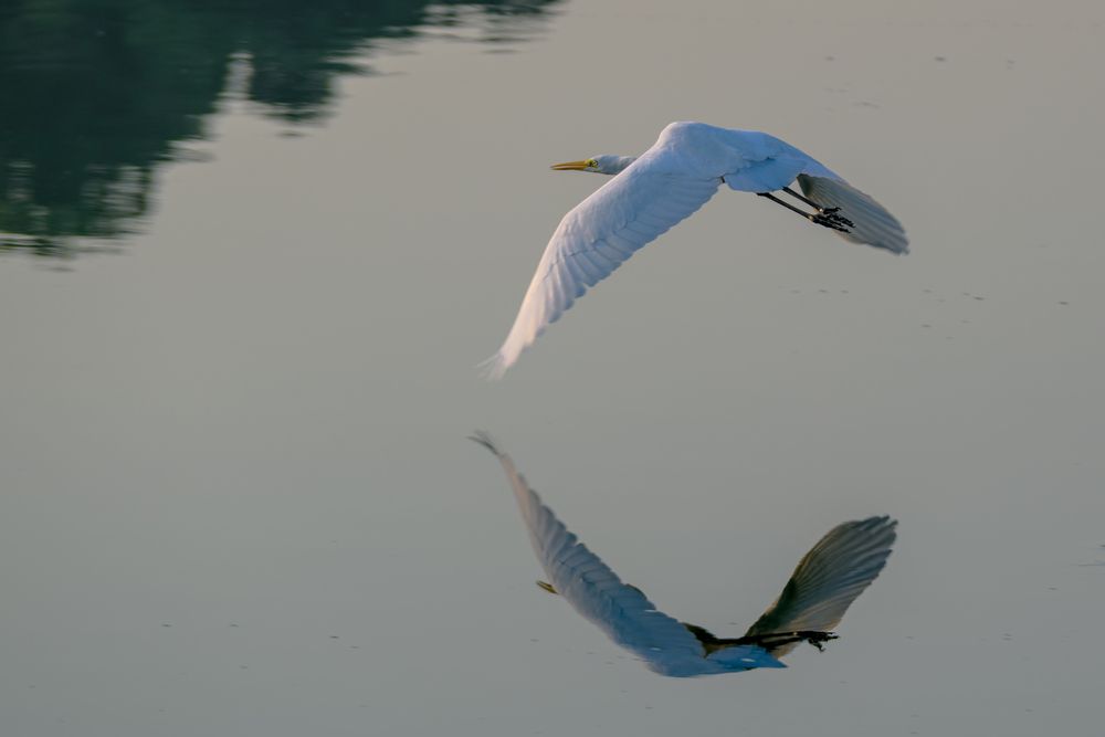 Photograph by Демьян Лопатов