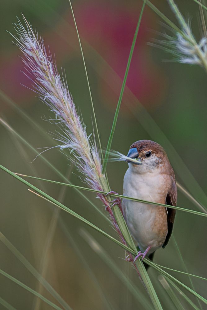 Photograph by Демьян Лопатов