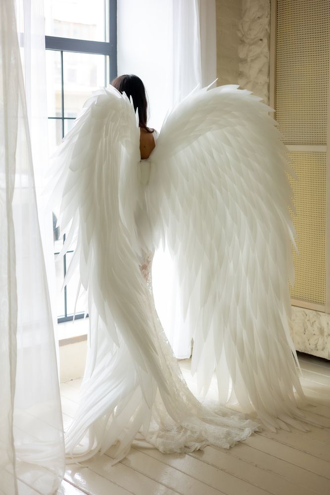 Фотография автора Светлана Роткина