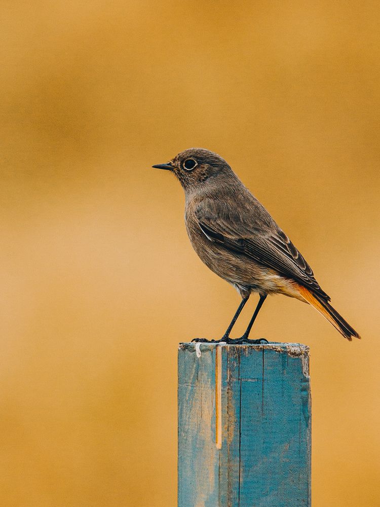 Photograph by Вазген Бояджян