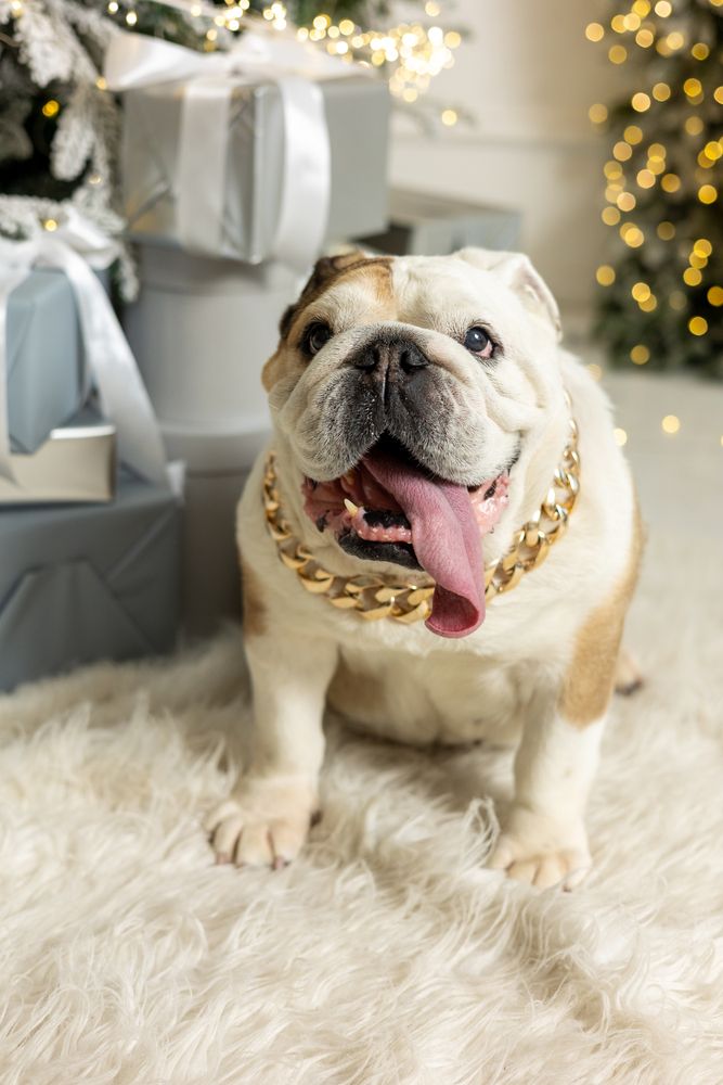 Фотография автора Светлана Роткина