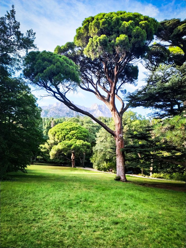 Photograph by Андрей Федоров