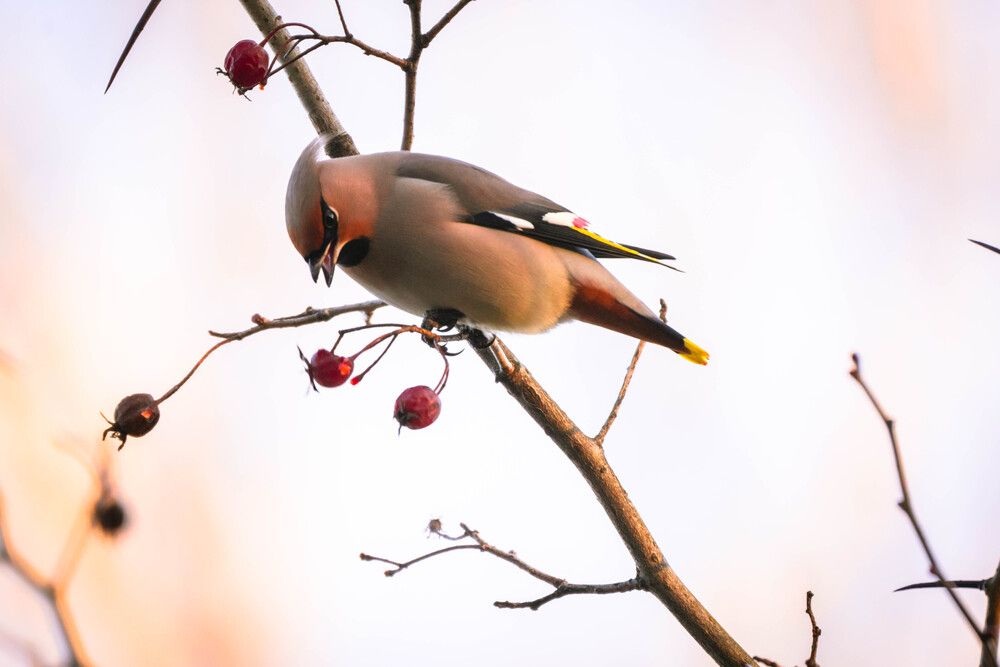 Photograph by Барашкова Екатерина