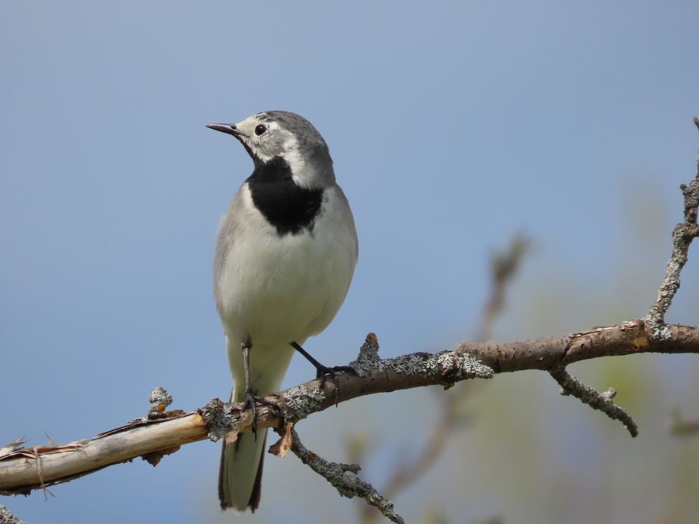 Photograph by Екатерина Рогожникова