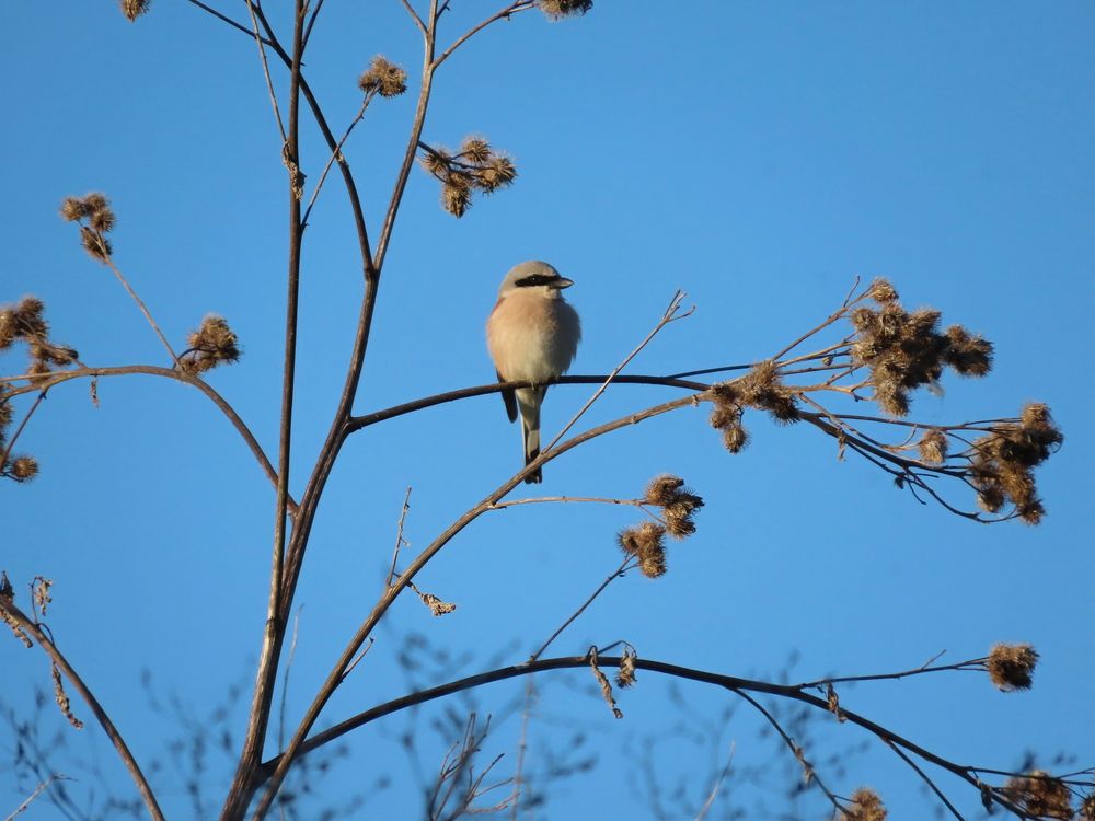 Photograph by Екатерина Рогожникова