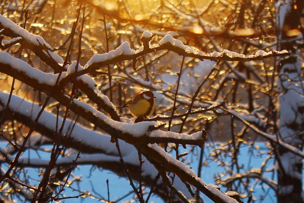Photograph by Светлана Шубина