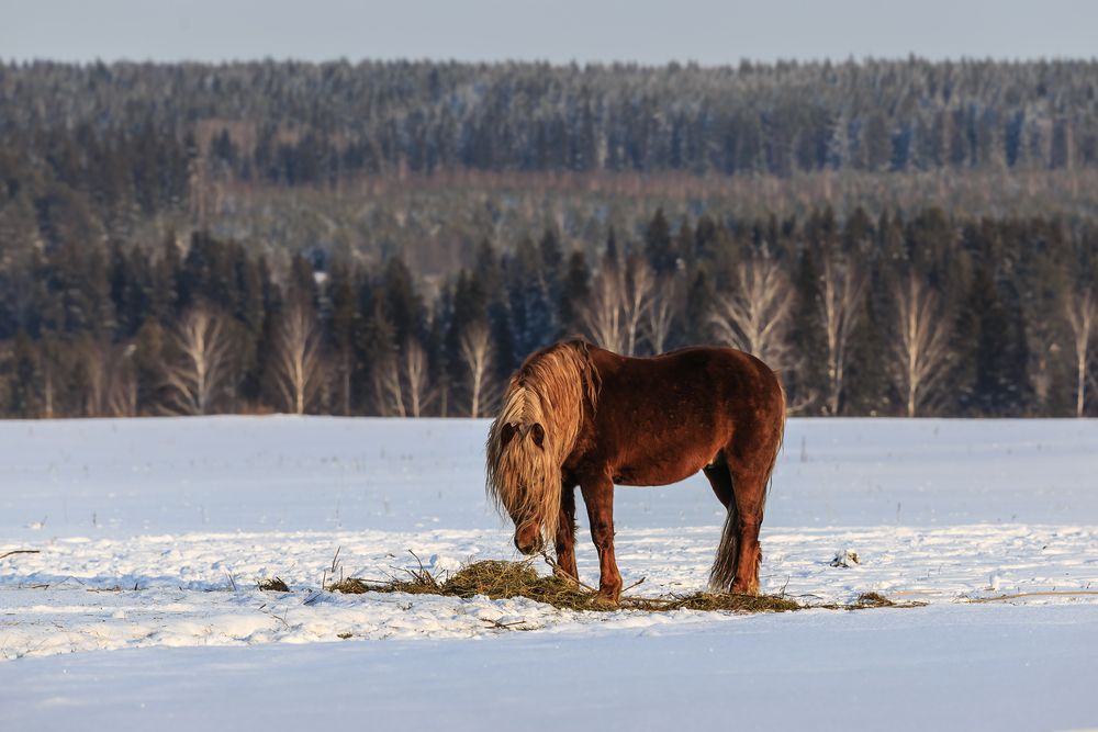Photograph by Родион Балков