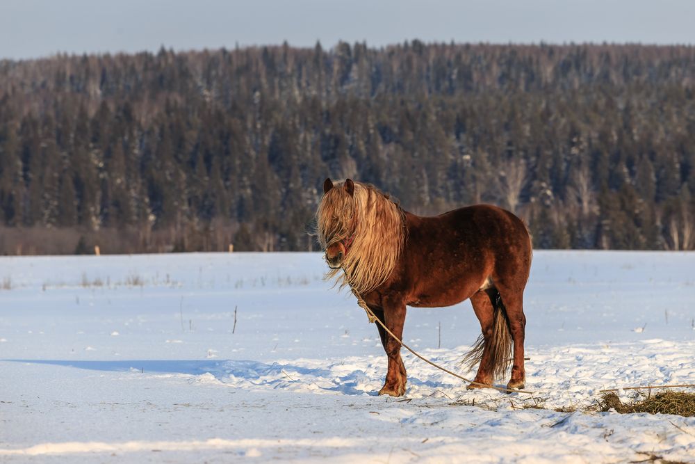 Photograph by Родион Балков
