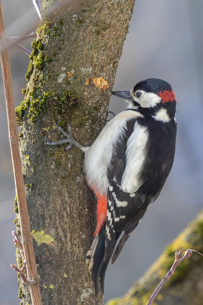 Photograph by Ineta Osipoviča