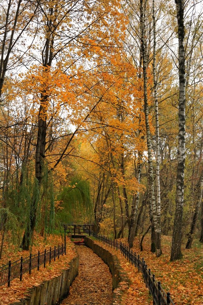 Photograph by Вера Боржеева