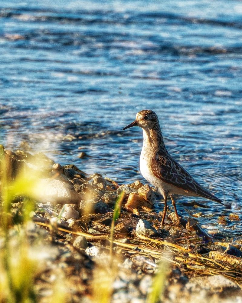 Photograph by Анастасия Глазюк