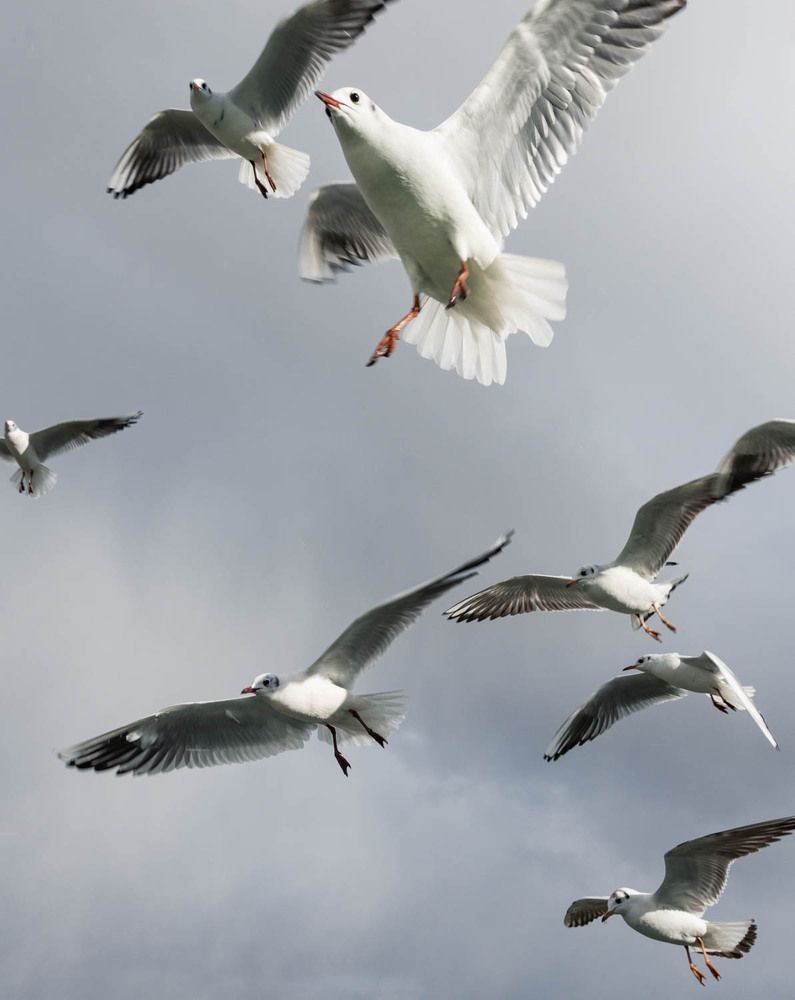 Photograph by Ineta Osipoviča