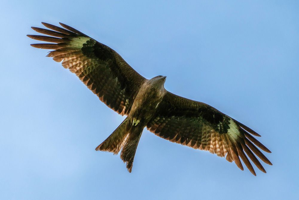 Photograph by Анастасия Глазюк