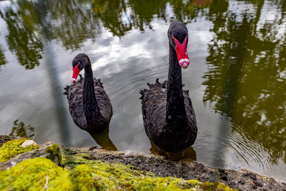 Photograph by Ineta Osipoviča