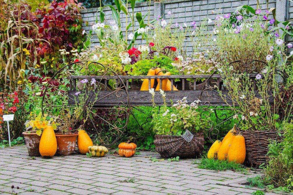 Photograph by Галина Ложечникова