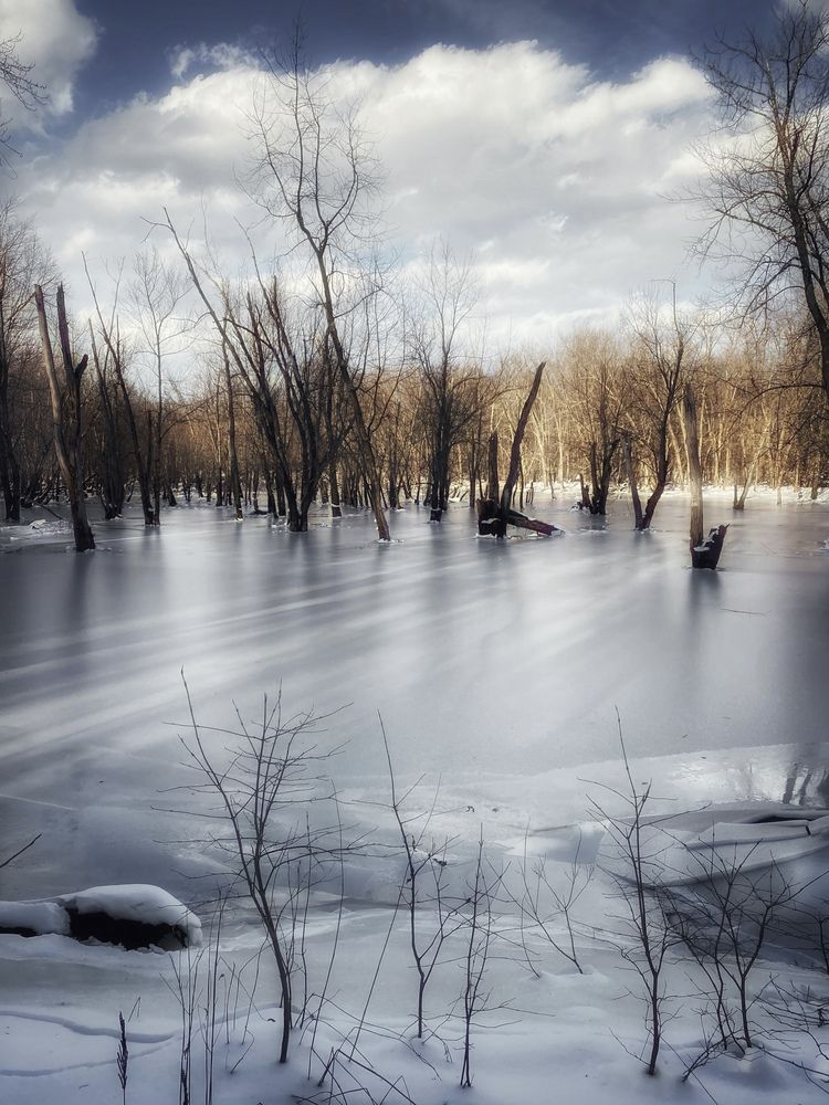 Photograph by Fred Schaffer