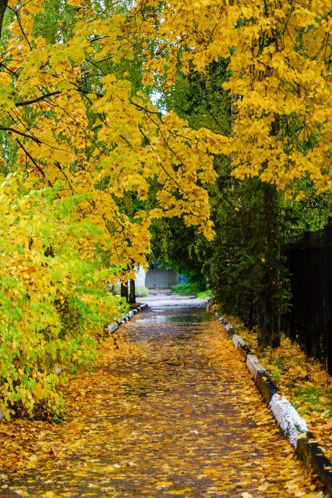 Photograph by Галина Ложечникова