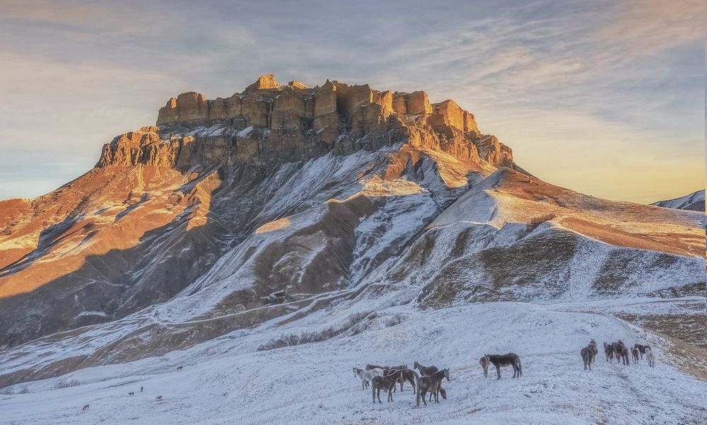 Фотография автора ПУЗЕНКО ДМИТРИЙ