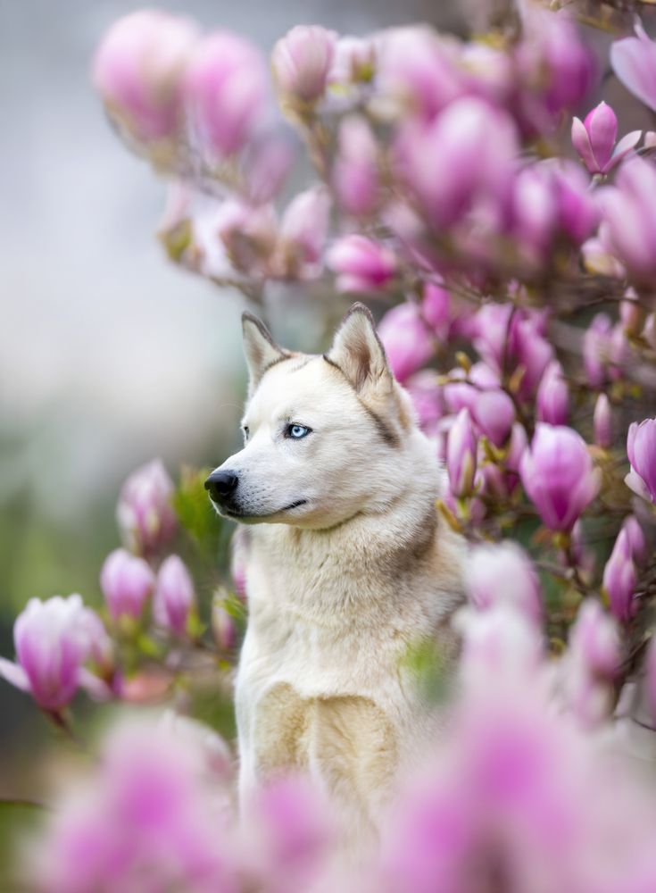 Photograph by Shanna van Mens