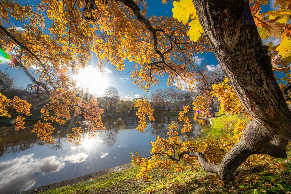 Парк с прудом у Цвингера. Дрезден