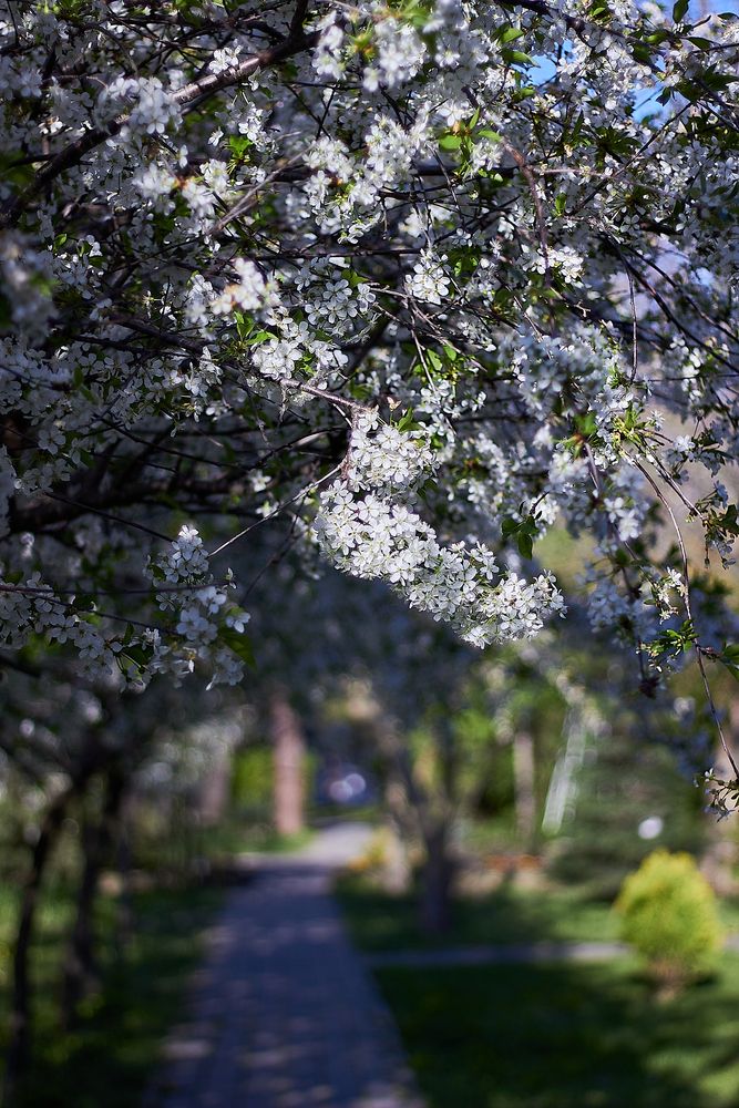 Photograph by Наталья Шевелева