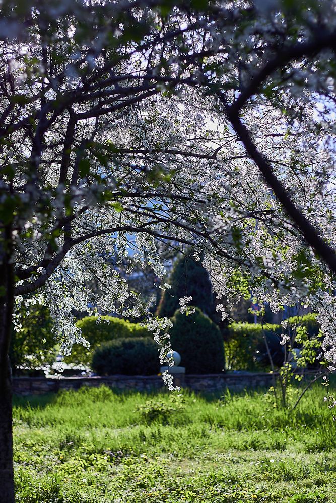 Photograph by Наталья Шевелева