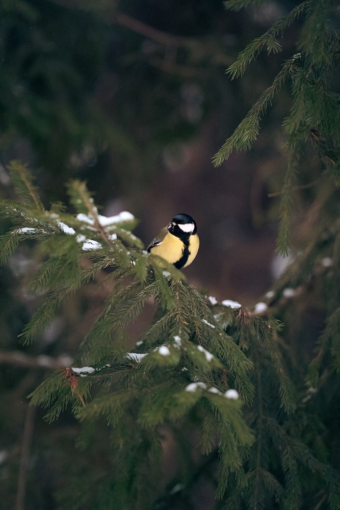 Photograph by Юлия Маркова